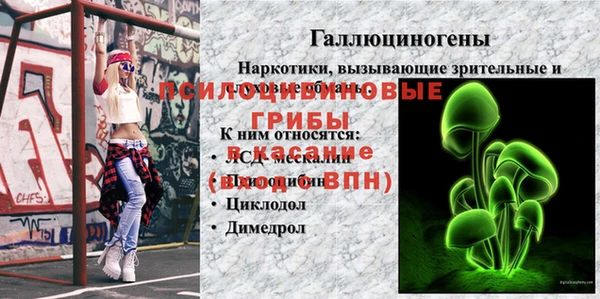 СК Майский