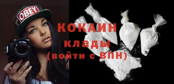крисы Мегион