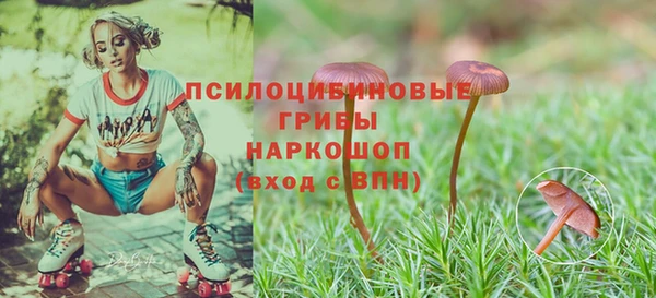 дистиллят марихуана Магас