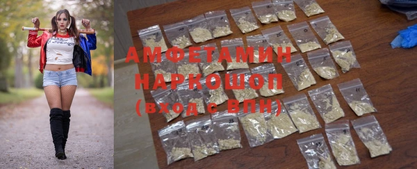 крисы Мегион